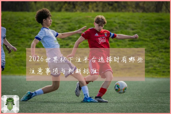 2026世界杯下注平台选择时有哪些注意事项与判断标准