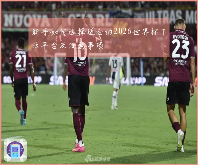 新手如何选择适合的2026世界杯下注平台及注意事项