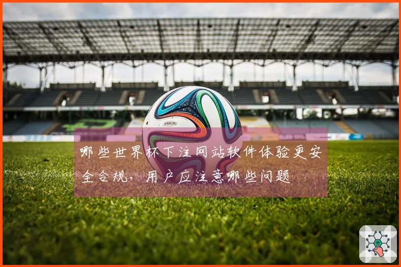 哪些世界杯下注网站软件体验更安全合规，用户应注意哪些问题