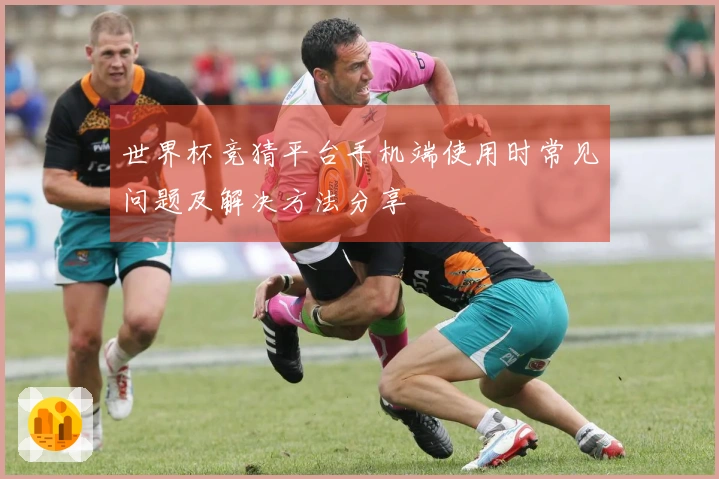 世界杯竞猜平台手机端使用时常见问题及解决方法分享